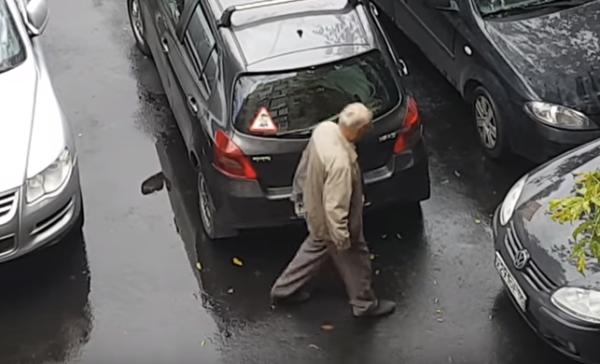 Лайфхак мастера парковки: видео
